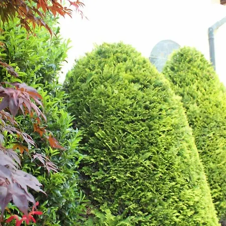 Frühstückspension Wanderhotel Garni Cresta Schruns