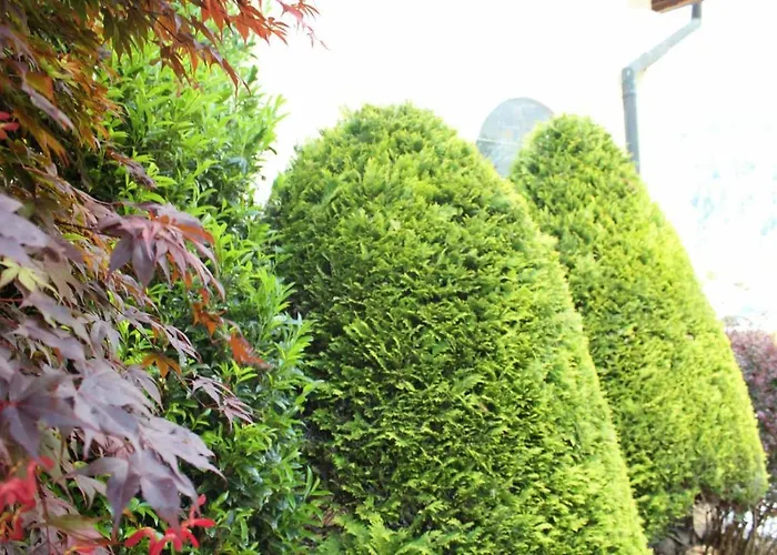 Bed & Breakfast Wanderhotel Garni Cresta Tschagguns